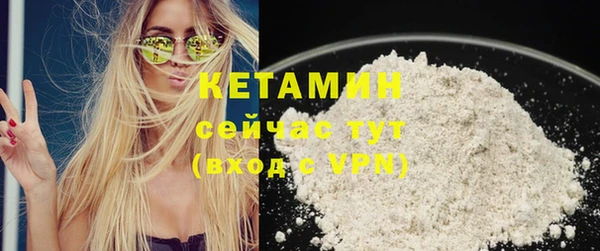 индика Новодвинск