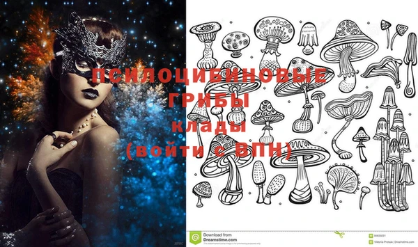 индика Новодвинск