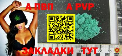 ECSTASY Гатчина