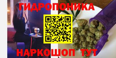 ECSTASY Гатчина